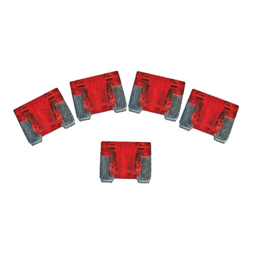 Low Profile Automotive Blade Fuse, 10A, 5 pack