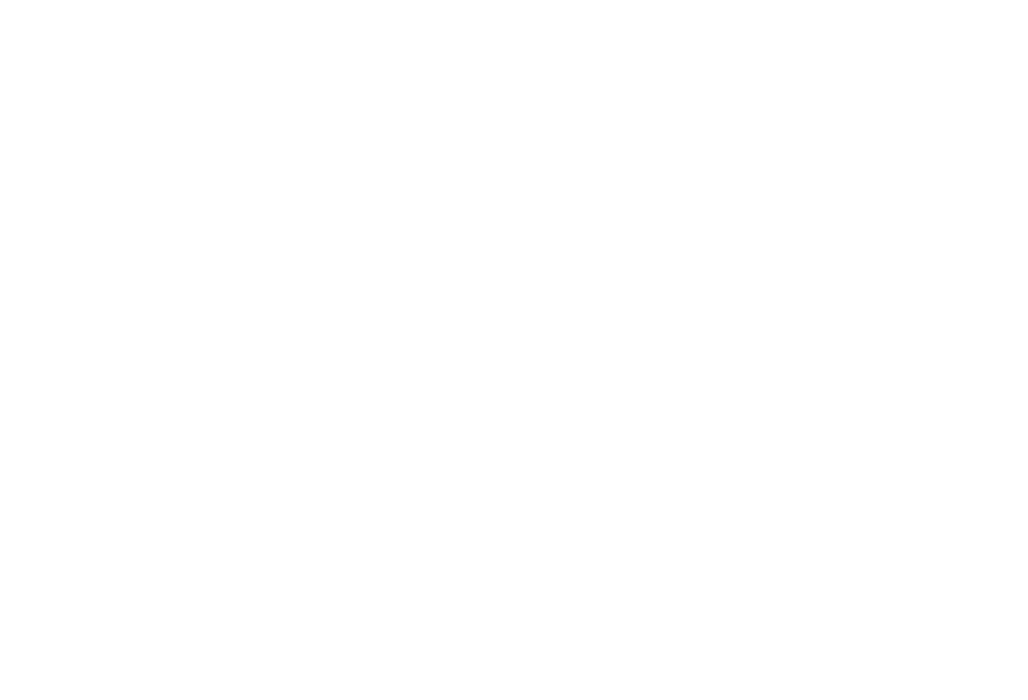 Willy's Electronics