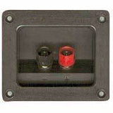 Deluxe Gold Plated Speaker Terminal, 3 11/16" x 3 1/8" - We-Supply